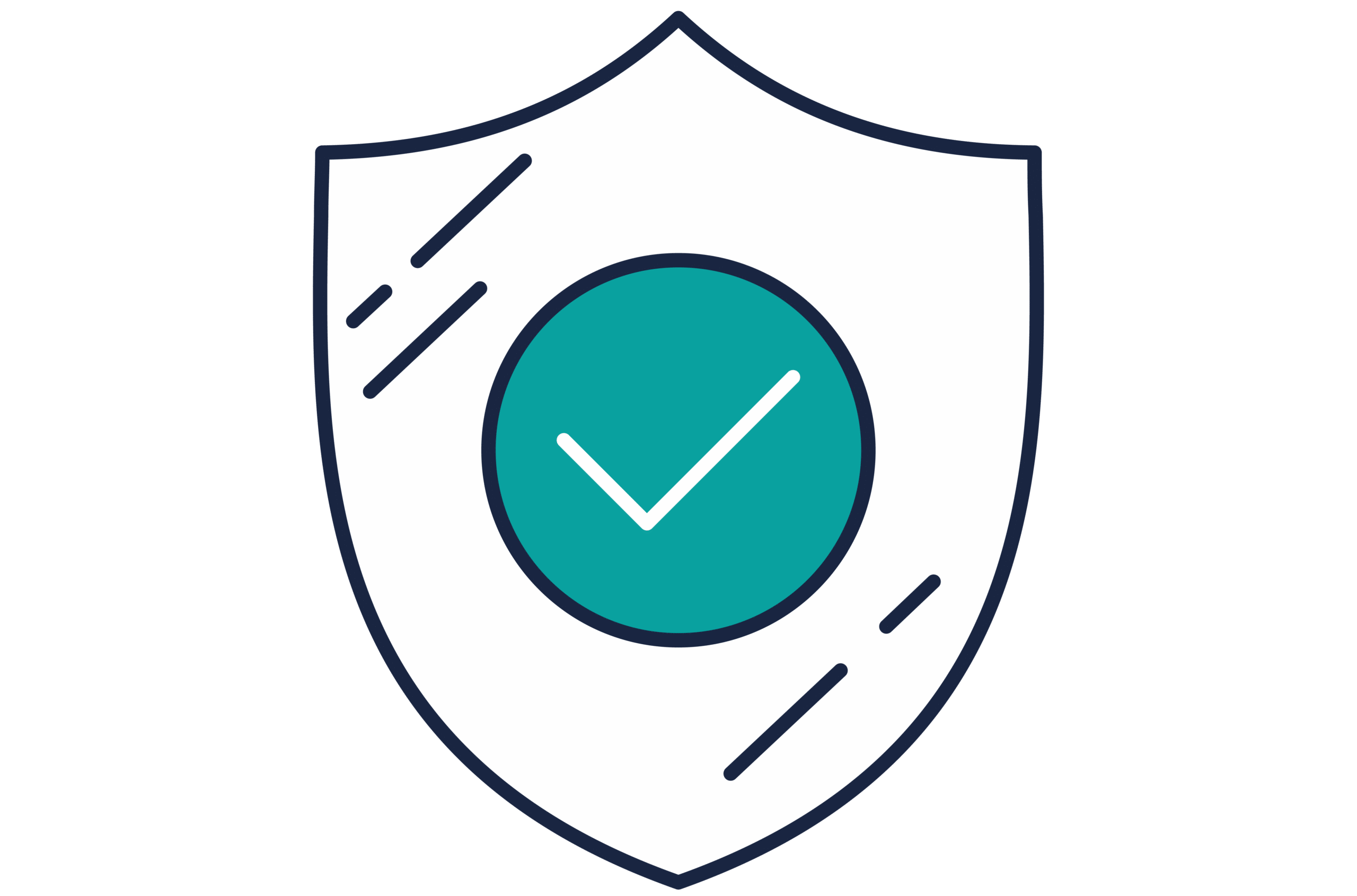 IT Security Check Shield